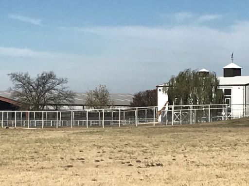 That’s a freakin Giraffe!