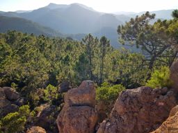 VTT et marche Théoule sur Mer