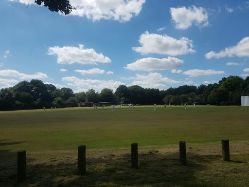 What village greens were made for.