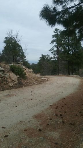 Scene of the breakdown: (