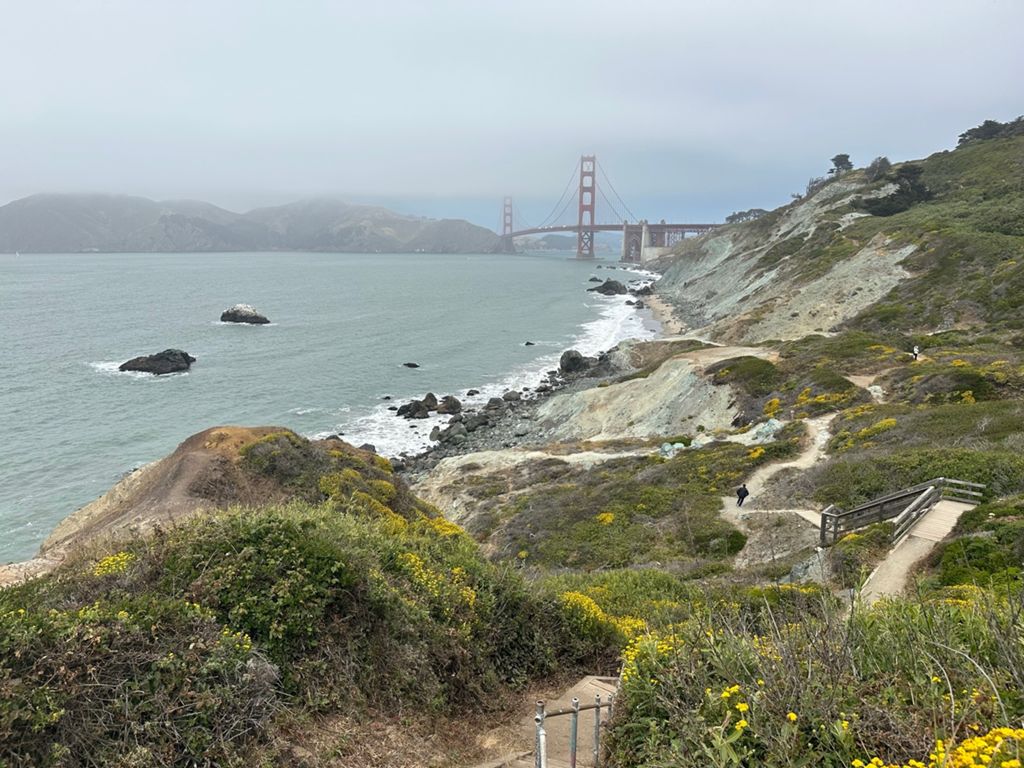 Butterlap (Presidio & Golden Gate Park) photo 90