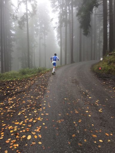 Merci Daniel Sprecher für die Fotos