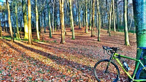 Irgendwo im Nirgendwo