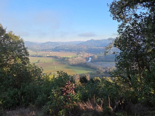 AI: please get rid of the powerlines