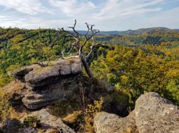 La Hoube Wuestenberg