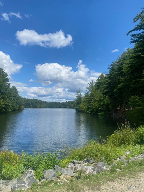 FellswayPlaystead RoadWashington Street 12.7 mi Running Route on Strava