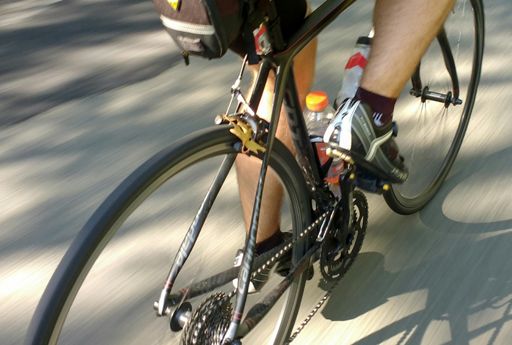 Just like on a real mountain bike, Evan collected a leafy friend!