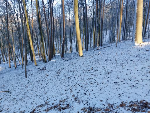 Trail des Serres 2026