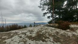 Madeleine Saint dié