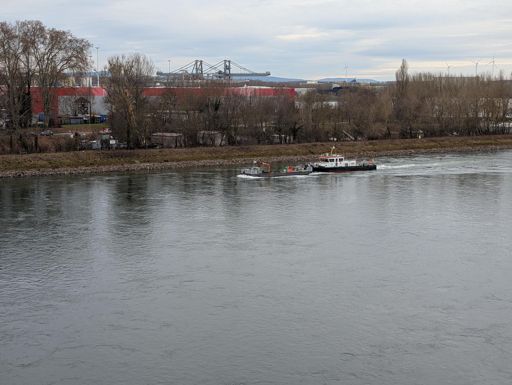 Rhein bei Germersheim