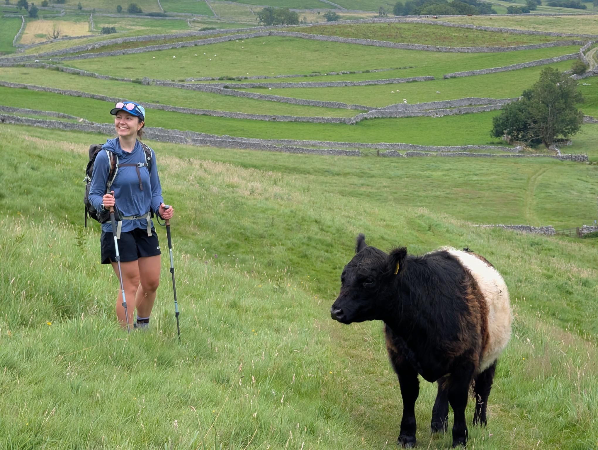 Settle to Skipton photo 4