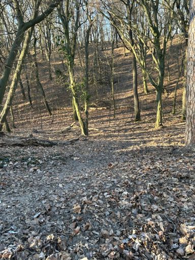 Dem Schützling unter einem Vorwand die berühmt-berüchtigte Senke der Crossrunde auf Pichelswerder gezeigt, dabei musste das Schwelgen in Erinnerungen legendärer Berliner Meisterschaftsrennen über sich ergehen lassen:-))