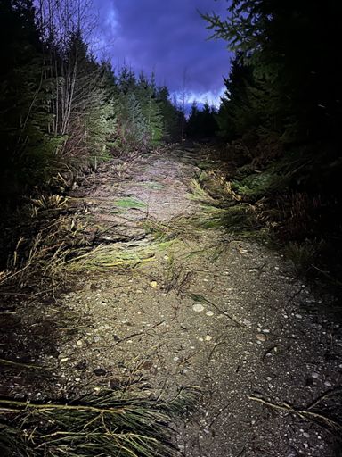 Brush dog needed on isle P