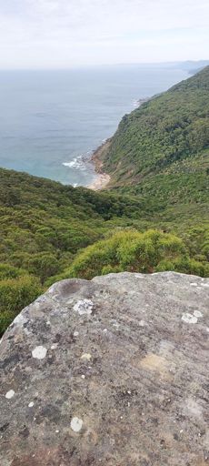 Looking down at Werrong beach