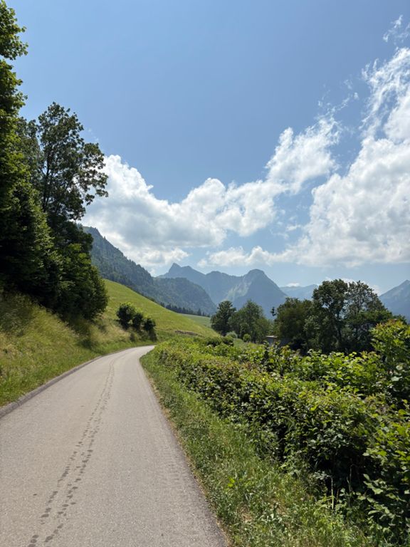route-highlight