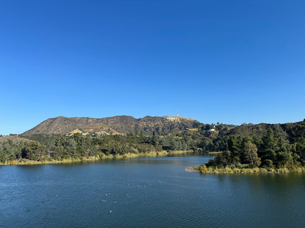 NBB run - Lake Hollywood photo 163