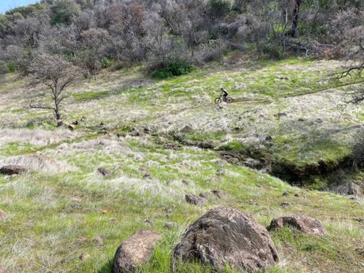 Jolt on his favorite trail 🤣😂🤣😂 oh wait, that’s one of my favorites