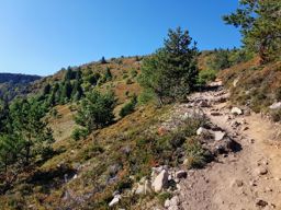 De belles couleurs sur les crêtes