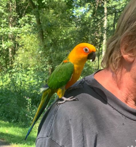 My new friend.  “Stan”