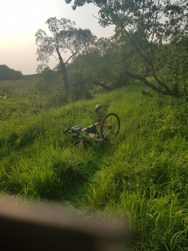Злева на заднім плане балота, на пярэднім ямка ў густой траве, на заднім плане справа сукі над трапой. Фота рэальна з папярэдняга заезду -- ямка засталася.. :)
    Таму першы раз пажадана ехаць кросс-кантрыйны адрэзак ад Бабінавічаў да Асінторфа пры дзённым сьвятле і не гнаць са ўсёй моцы...