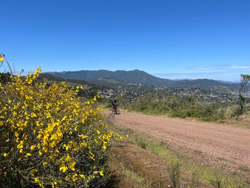 A nice girl took this photo then air dropped it to me.