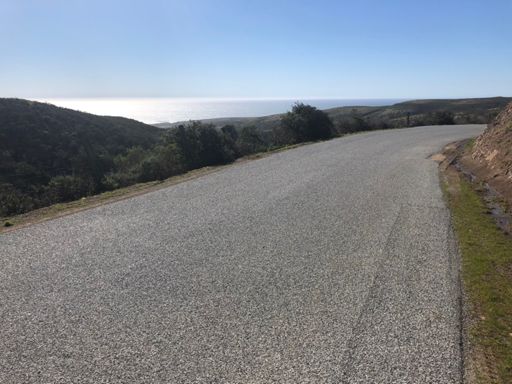 The bosum of the Pacific Ocean 🌊