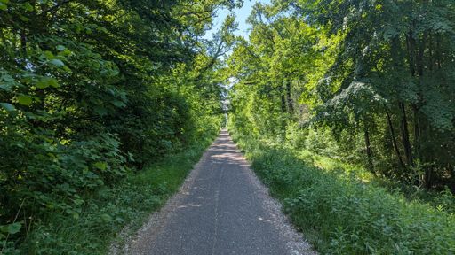 Einfach toll da durch den Wald nach Strasburg
