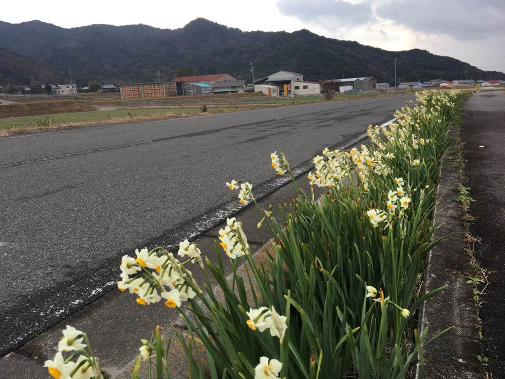 Relive 淡路島灘黒岩水仙郷とオニオンロード大冒険ライド