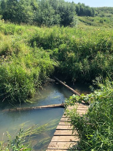 Полуподводный мост