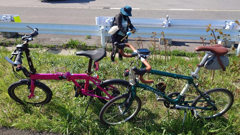 前回川沿いを走った時に目星をつけてたらしく、群生地を見つけイタドリ狩りを始める。