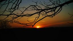 Balade de l’arche perdue