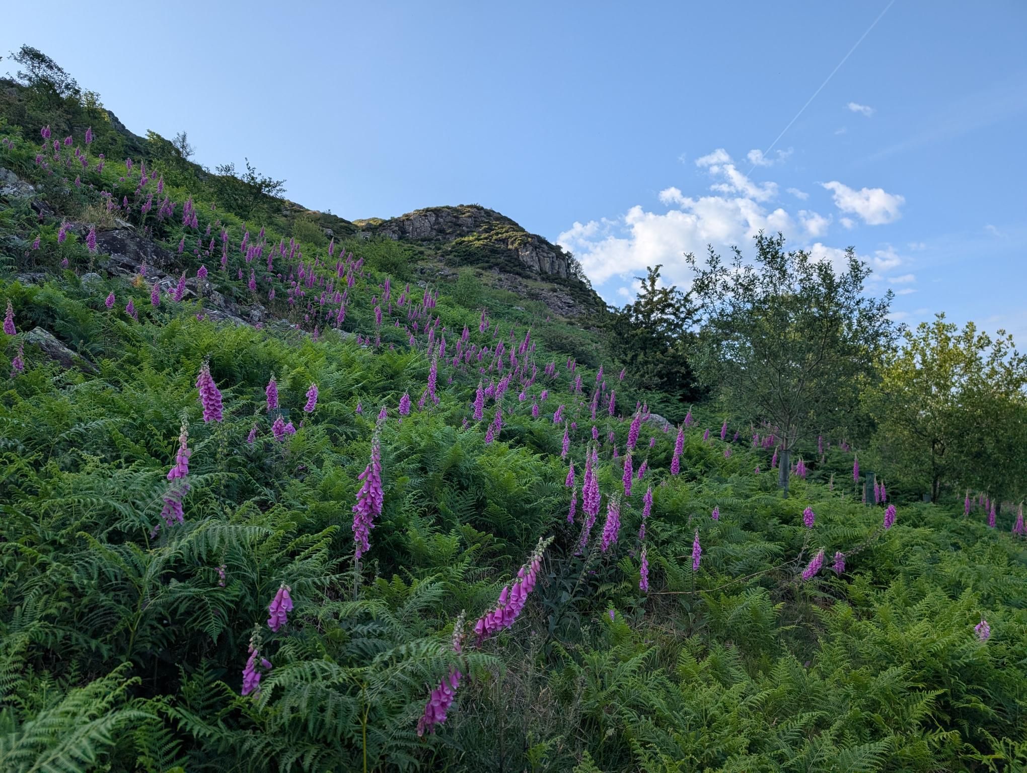 Walk to the bus photo 3