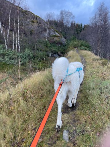 Flott å springe m Heike igjen❤️