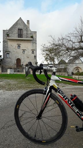 .                                  Mavugliola