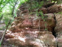 Marche autour de Haselbourg