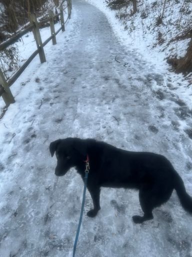 This is why we hate snow in Philly