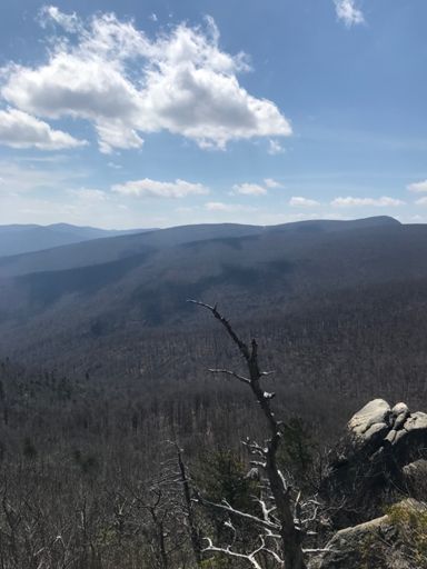 Robertson Mountain View 4