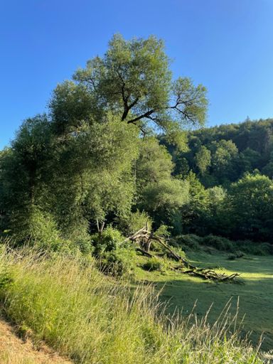 Hafenlohrtal🥰🤩