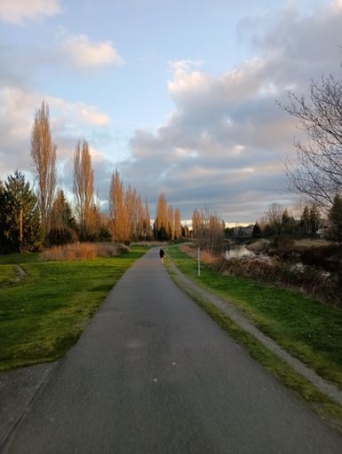 see it again ... for the first time