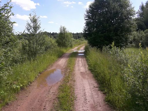 Разведка. Дорожка заманчивая, но... уперлась в заросли крапивы. Осенью можно будет повторить.
