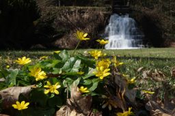 Course à pied le midi
