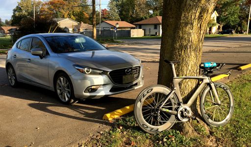 Better than a fucking dog.