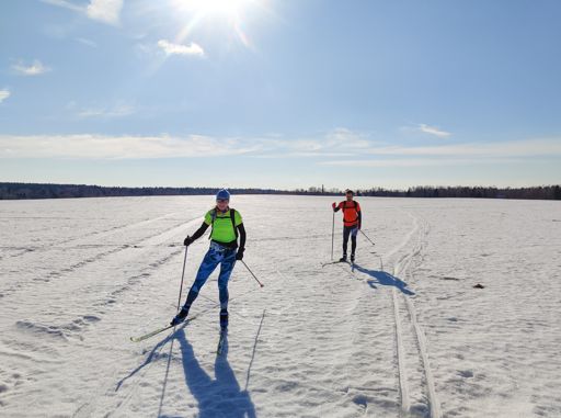 Поля вблизи Нагорного. Фото Лены.