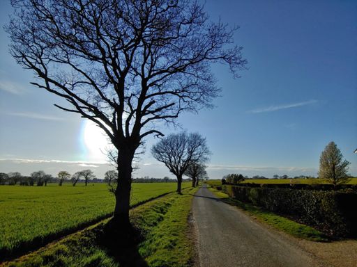 Turned out great, well, better than earlier in the day when I was pummeled by hail 😆