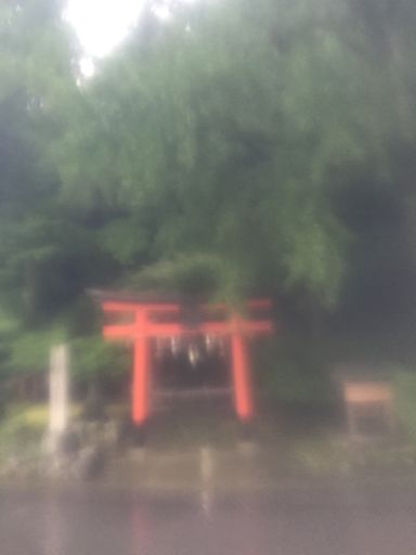 落葉神社 - Ochiba Shrine. Will be glorious with fall colors in a month, but in this pouring rain is foggy because the camera is still in a Ziploc.