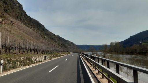 Zwischen Valwig und Bruttig.