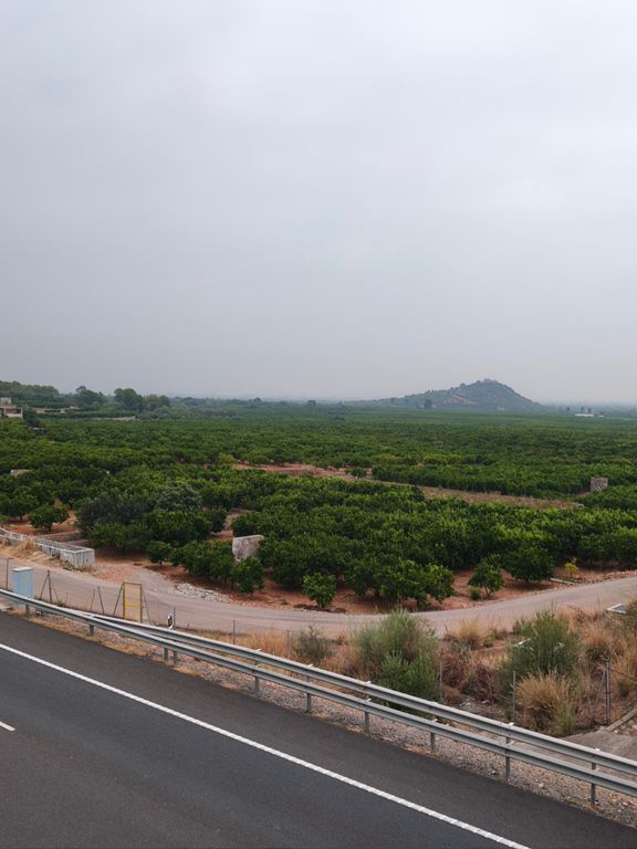 Paseo de Domingo
