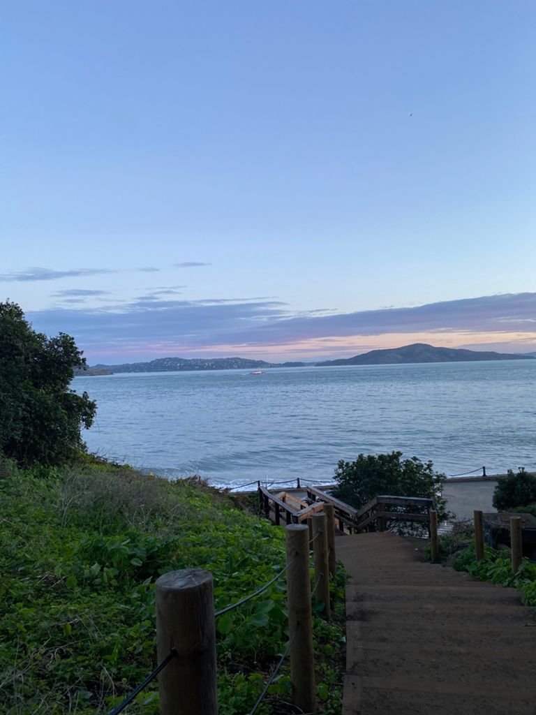 Butterlap (Presidio & Golden Gate Park)的照片 36