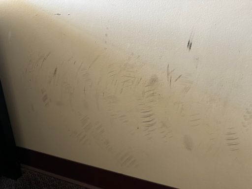 20 years of parking my bike up against the wall