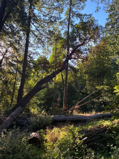 Lean on me
When you’re not strong
And you need a friend